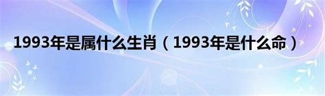 93年生效|1993年